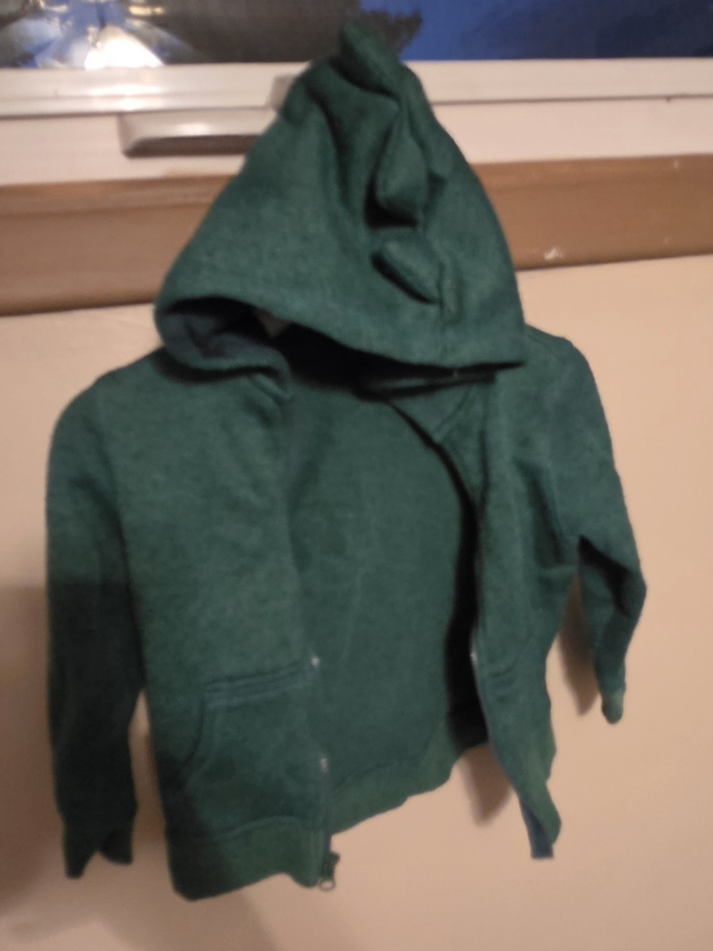 Cat & Jack Dinosaur Dark Green Fleece Jacket